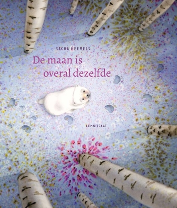 Afbeeldingen van De maan is overal dezelfde