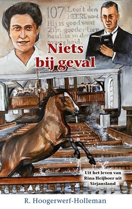 Afbeeldingen van Historische reeks Niets bij geval