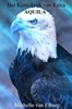 Afbeelding van Aquila