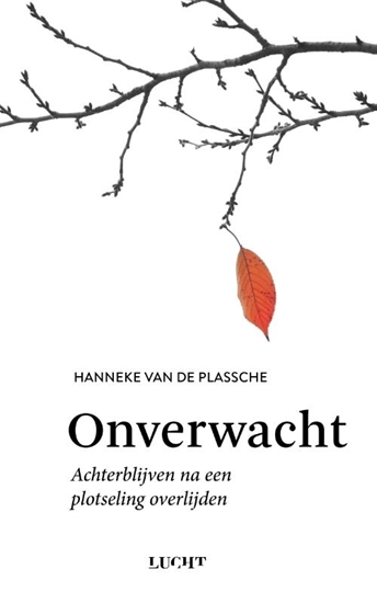 Afbeelding van Onverwacht