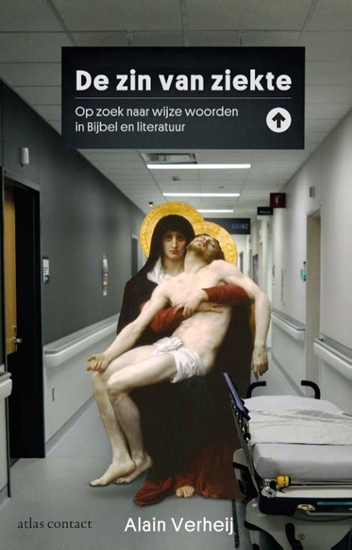 Afbeelding van De zin van ziekte
