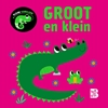 Afbeelding van Groot en klein Kleine kameleon
