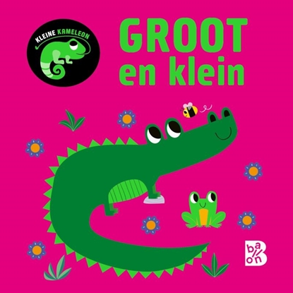 Afbeeldingen van Groot en klein Kleine kameleon