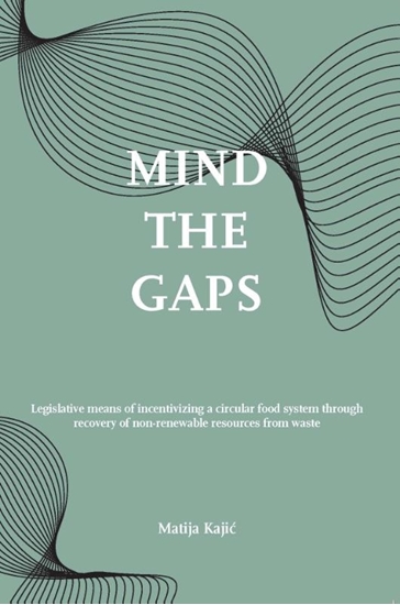 Afbeelding van Mind the gaps!