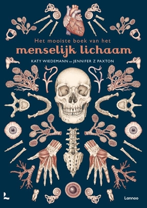 Afbeeldingen van Het mooiste boek van het menselijk lichaam