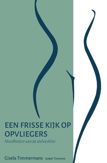 Afbeelding van Een frisse kijk op opvliegers