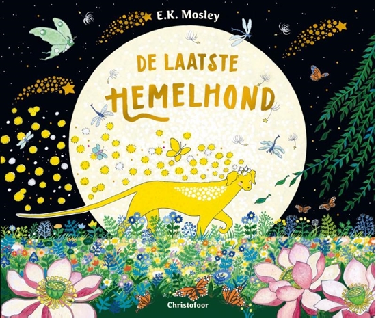Afbeelding van De laatste hemelhond