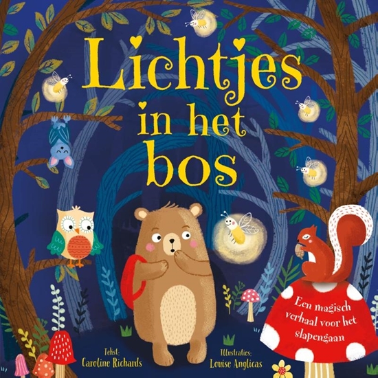Afbeelding van Lichtjes in het bos