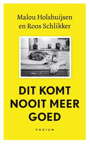 Afbeelding van Dit komt nooit meer goed