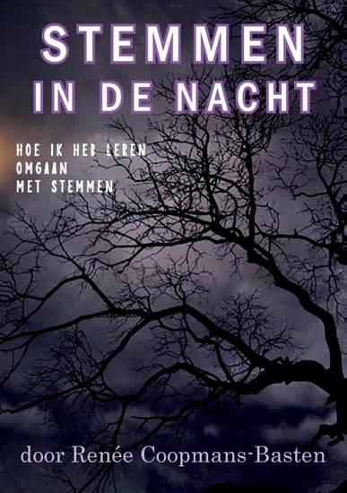 Afbeelding van Stemmen in de Nacht