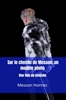 Afbeelding van Sur le chemin de Messon, un modèle photo