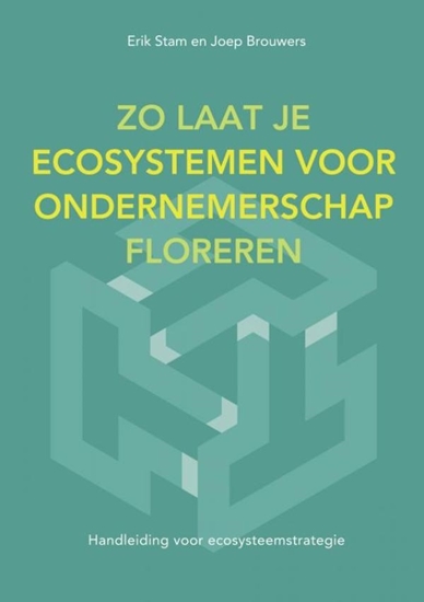 Afbeelding van Zo Laat Je Ecosystemen Voor Ondernemerschap Floreren