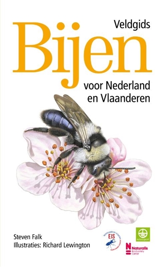 Afbeelding van Bijen - Veldgids voor Nederland en Vlaanderen