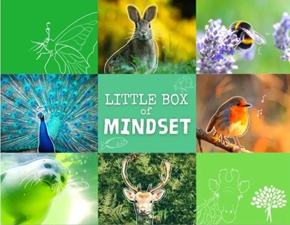 Afbeeldingen van Little Box of Mindset