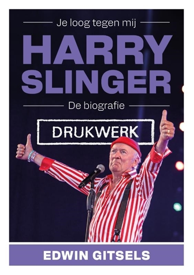 Afbeelding van Je loog tegen mij