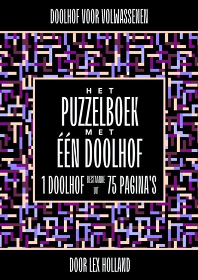 Afbeelding van Doolhof voor Volwassenen - Het Puzzelboek met Eén Doolhof