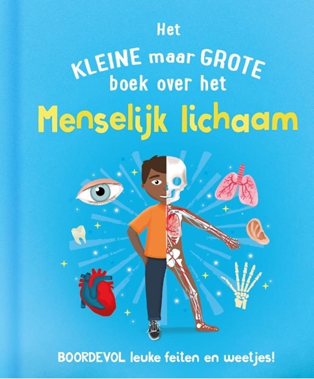 Afbeelding van Het kleine maar grote boek over het menselijk lichaam