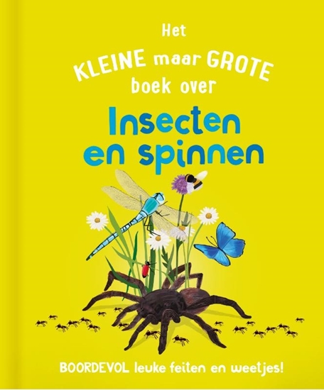 Afbeelding van Het kleine maar grote boek over insecten en spinnen