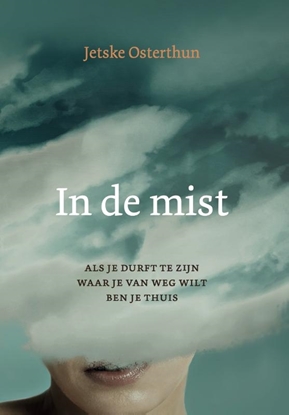 Afbeeldingen van In de mist