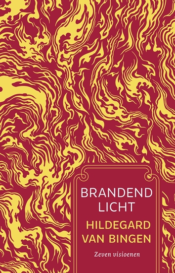 Afbeelding van Patroon Brandend licht
