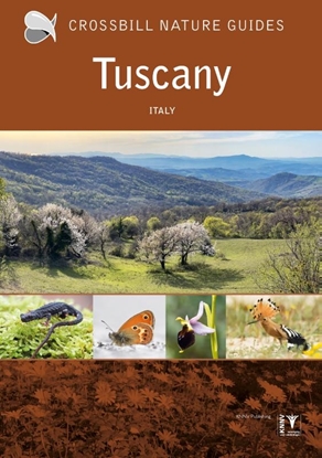 Afbeeldingen van Crossbill guides Crossbill Guide Tuscany
