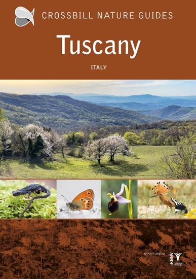 Afbeelding van Crossbill guides Crossbill Guide Tuscany