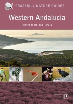 Afbeeldingen van Crossbill guides Western Andalucia