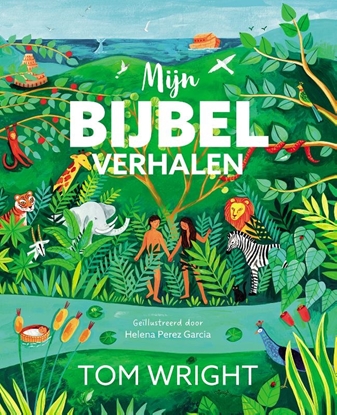 Afbeeldingen van Mijn bijbelverhalen