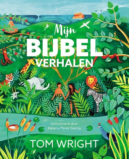 Afbeelding van Mijn bijbelverhalen