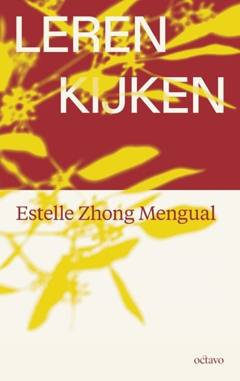 Afbeelding van Leren kijken