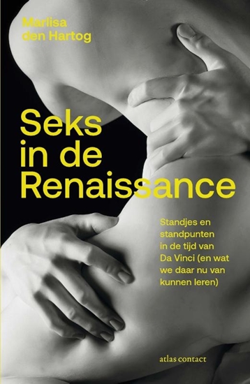Afbeelding van Seks in de Renaissance