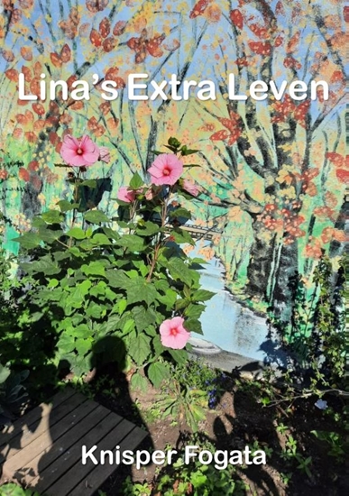 Afbeelding van Lina's extra leven