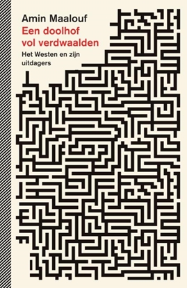 Afbeeldingen van Een doolhof vol verdwaalden