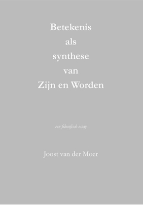 Afbeeldingen van Betekenis als synthese van Zijn en Worden