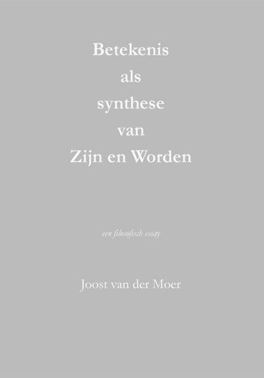 Afbeelding van Betekenis als synthese van Zijn en Worden