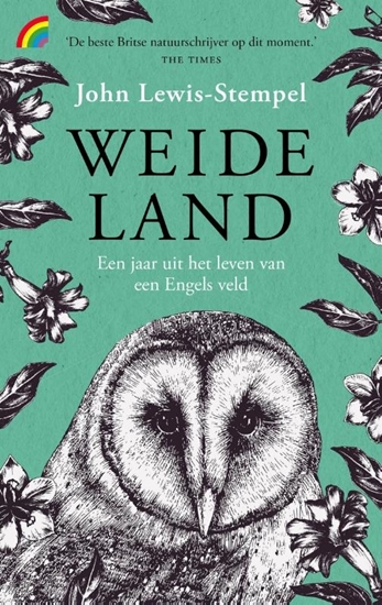 Afbeelding van Weideland