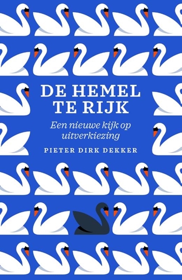 Afbeelding van De hemel te rijk