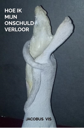 Afbeeldingen van Hoe ik mijn onschuld verloor