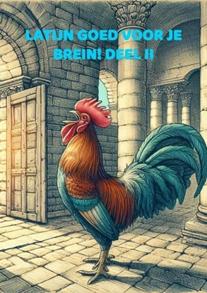 Afbeeldingen van Latijn goed voor je brein! Deel II