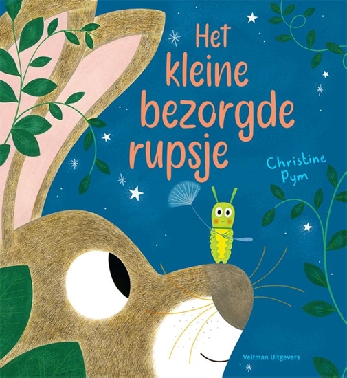 Afbeelding van Het kleine bezorgde rupsje