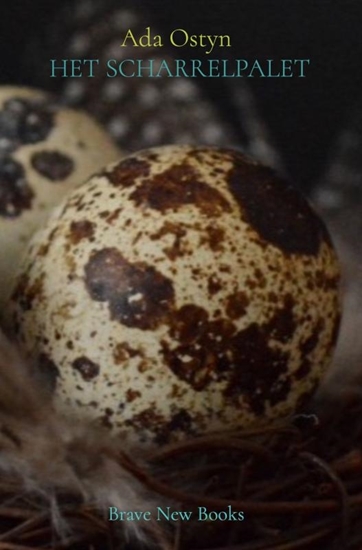 Afbeelding van 9789464927610