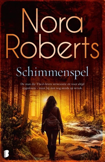 Afbeelding van Schimmenspel