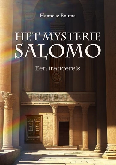 Afbeelding van Het mysterie Salomo