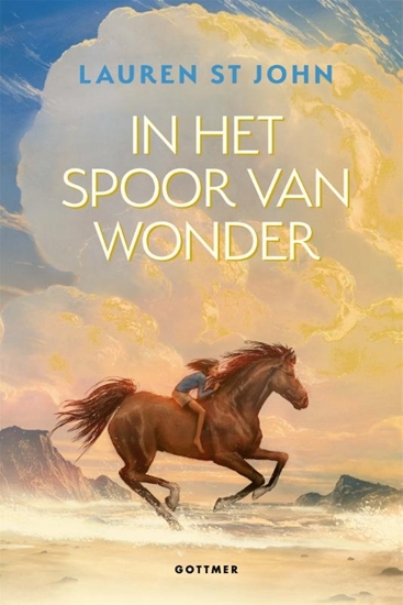 Afbeelding van In het spoor van Wonder