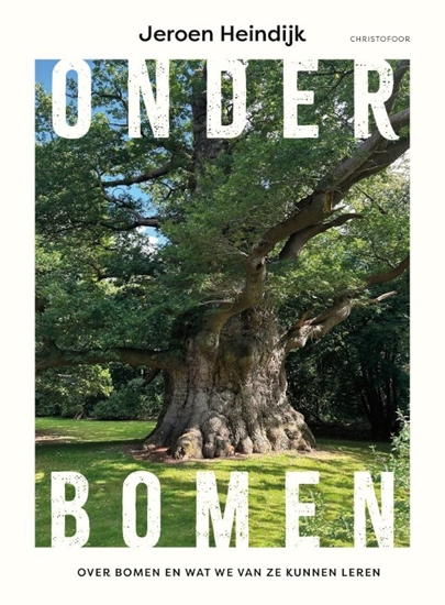Afbeelding van Onder bomen