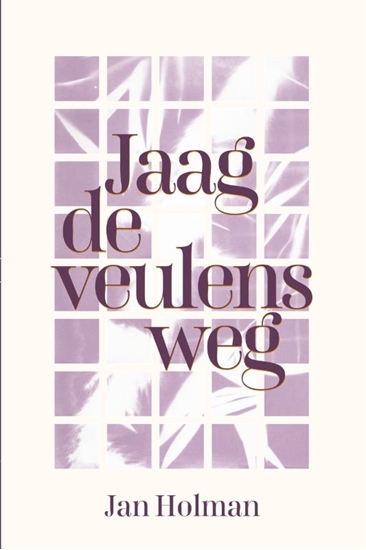 Afbeelding van Jaag de veulens weg