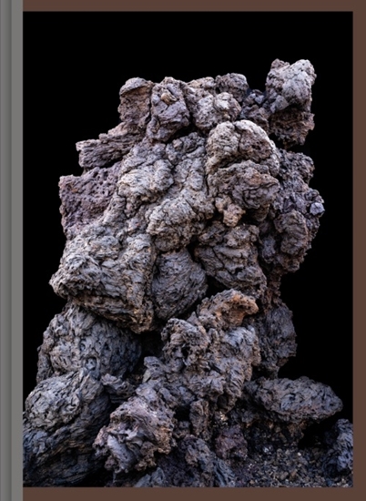 Afbeelding van 9789083357157