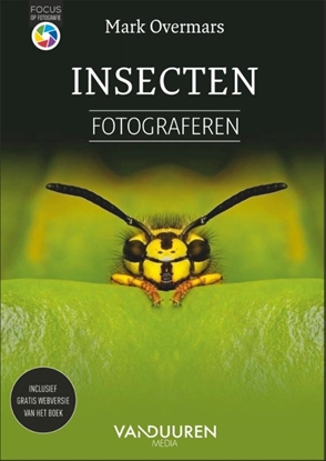 Afbeeldingen van Focus op fotografie Insecten fotograferen