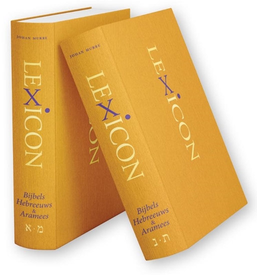 Afbeelding van Lexicon Bijbels Hebreeuws & Aramees (2-delig)