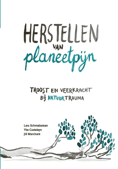 Afbeelding van Herstellen van planeetpijn